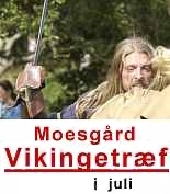 Moesgård Vikingetræf